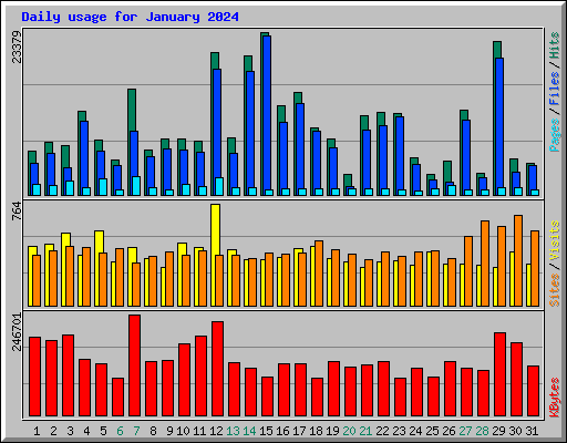 Daily usage for January 2024