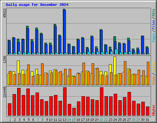 Daily usage for December 2024