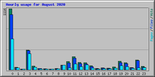 Hourly usage for August 2020