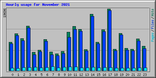 Hourly usage for November 2021