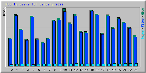 Hourly usage for January 2022