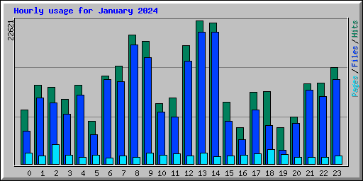 Hourly usage for January 2024