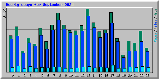Hourly usage for September 2024