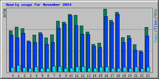 Hourly usage for November 2024