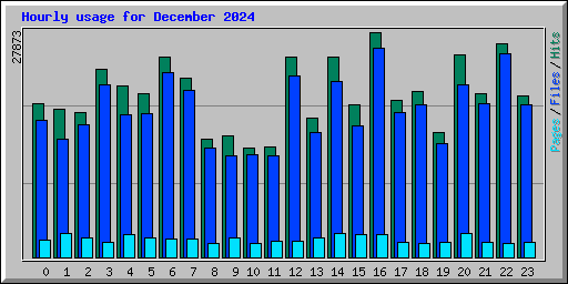 Hourly usage for December 2024