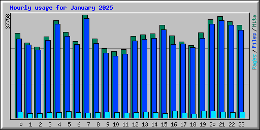 Hourly usage for January 2025