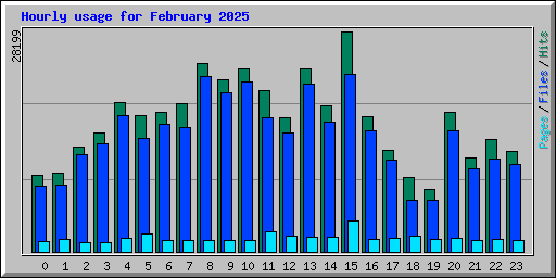 Hourly usage for February 2025