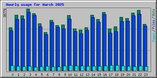 Hourly usage for March 2025
